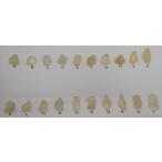 [ почтовый заказ ограничение!]libi Anne стакан 1.1g Libyan Desert Glasslibi Anne стекло удар стакан 