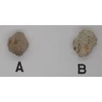 【通販限定】月の隕石　NWA 16530 ルナー隕石  1.0g　完全体　ムーン・ロック　Lunar meteorites / Moon Rock