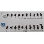 シホテアリニ 隕石　原石　0.6ｇ　Sikhote-alin　シホテアリン　完全体　小粒
