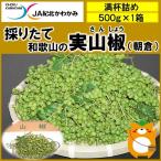 和歌山の実山椒　約５００ｇ　[山椒の実　生山椒　青山椒　朝倉　レシピ付き　ちりめん山椒を作ってみよう]　