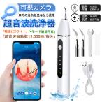 可視カメラ 口腔洗浄器 超音波洗浄器 歯石取 歯清掃 歯垢除去 USB充電式 LEDライト 4モード調節可能 家庭用 自宅 男性用 女性用 プレゼント ギフト