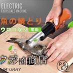�d�� ���낱��� �E���R��� ���̗؂Ƃ� �Ɩ��p �؎�� �L�b�`���c�[�� �z�[���p ���p �����p ���X�p