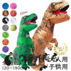 恐竜コスプレ ハロウィン 恐竜着ぐるみ 顔出し ティラノサウルス レース 怪獣 イベント コスプレ コスチューム空気充填 膨張式 パーティー クリスマス G176