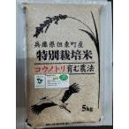 令和7年産 コシヒカリ玄米10kg コウノトリ育むお米 栽培期間中化学肥料、農薬不使用