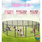  салон закрытый широкий . большой собака Circle домашнее животное Circle Circle наружный 