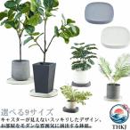  тележка с роликами . горшок шт. горшок тарелка . тарелка поддонник tray tray plate растение в горшке шт. посадочная машина декоративное растение растение в горшке цветочный горшок подставка 