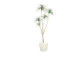 ユッカツリー(L)　人工観葉植物 全長210cm