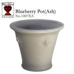 ウィッチフォード テラコッタ 植木鉢 《ブルーベリーポット アッシュ》9.5号鉢相当 Whichford BLUEBERRY POT ASH