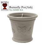 ウィッチフォード　テラコッタ　植