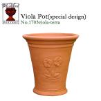 ウィッチフォード　テラコッタ　植