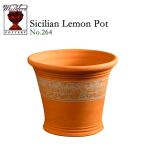 ウィッチフォード テラコッタ 植木鉢 《シチリアレモン》10.5号鉢相当 英国(イギリス)製 Whichford NEW SICILIAN LEMON