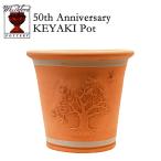 新作　ウィッチフォード テラコッタ 植木鉢 渋谷園芸50周年記念ポット 10.5号相当 英国製 渋谷園芸限定デザイン 50th Anniversary KEYAKI Pot