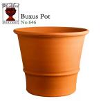 ウィッチフォード テラコッタ 植木鉢 《バクサスポット》9号鉢相当 英国(イギリス)製 BUXUS POTS