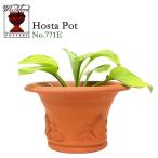 ショッピング植木鉢 【在庫僅少】ウィッチフォード　テラコッタ　植木鉢　ミニホスタポット　8号鉢相当　HOSTA POT