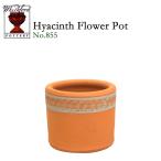 wichi Ford терракота цветочный горшок гиацинт цветок pot 3.5 номер горшок соответствует Британия производства Whichford HYACINTH