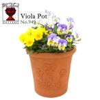 wichi Ford терракота цветочный горшок viola pot 6.5 номер горшок соответствует Британия производства Whichford VIOLA POT