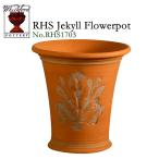 ウィッチフォード　テラコッタ　植木鉢　《ジェキルフラワー》6号鉢相当　英国（イギリス）製　Whichford  JEKYLL FLOWERPOT