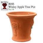 ウィッチフォード　植木鉢　ウィズリーアップルツリー　7.5号相当　英国製　Whichford　WISLEY APPLE TREE POT　