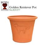 【在庫僅少】ウィッチフォード テラコッタ 植木鉢 レトリバー 10号鉢相当 イギリス製 GOLDEN RETRIEVER