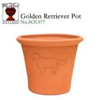 ウィッチフォード　テラコッタ　植木鉢　《レトリバー》10号鉢相当　英国（イギリス）製　　  GOLDEN RETRIEVER