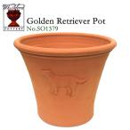 ショッピング13号 【在庫僅少】ウィッチフォード　テラコッタ　植木鉢　レトリバー　13号鉢相当　イギリス製　GOLDEN RETRIEVER