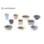  Banko . цвет 10 пункт ассортимент 1~2.5 номер бобы горшок бонсай горшок мини бонсай горшок цветочный горшок модный 