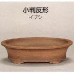 植木鉢 陶器 常滑焼  25T10【和泉屋】小判反形盆栽鉢(8号_イブシ)