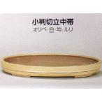 鉢 植木鉢陶器 白の人気商品 通販 価格比較 価格 Com