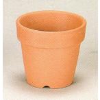 ȭ ƫ ¿ʪ  ߺ  ߺ Ωȭ   ȭ ̲ȭ Ǿȭʥ䥭ȭ2