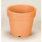 ȭ ƫ ¿ʪ  ߺ  ߺ Ωȭ   ȭ ̲ȭ Ǿȭʥ䥭ȭ2.5