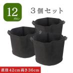 不織布ポット 12ガロン 3個 不織布プランター 13号 14号 植木鉢 フ…