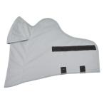 PEARLIZUMI ( жемчуг izmi) FA-3 UV лицо покрытие 2. серый 2026 год весна лето модель 