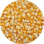  Popcorn 5kg кукуруза вид popcorn Popcorn кукуруза. вид бобы beans 