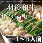 【コプチャン増量中♪】羽後和牛 もつ鍋セット 4〜5人前