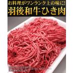 羽後和牛ひき肉 500g (端っこ はしっこ 端 切り落とし 不ぞろい)