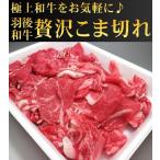 ショッピング端っこ 羽後和牛こま切れ　500ｇ　(端っこ はしっこ 端 切り落とし 不ぞろい)