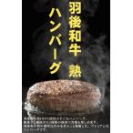  перо после мир корова . гамбургер 150g