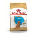 ロイヤルカナン プードル 子犬用 1.5kg 犬種別フード プードル専用 幼犬用 パピー １．５KG 3182550765213