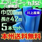 【法人・個人事業主様限定 送料無料】 川上産業 h35L 3層構造/ダイエットプチ エコハーモニー クリア 《5本セット》 幅1200mm×42M　プチプチ / ロール