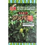 グァバ茶 ティーパック 健康茶(シジ