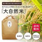 ショッピング大 【令和５年度産】熊本県【大自然米】完全無農薬・肥料不使用　玄米5kg　送料無料