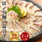  подлинный морской лещ sashimi sashimi . морской лещ sashimi примерно 300g примерно 3~4 порции рефрижератор горячая вода скидка 