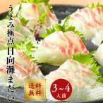  подлинный морской лещ sashimi sashimi . морской лещ sashimi 300~400g примерно 3~4 порции рефрижератор 