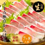  sashimi .... sashimi . рефрижератор 7~8 порции ( большая вместимость )