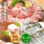  sashimi пик соединять . sashimi пик соединять рефрижератор 3 вида комплект примерно 4~6 порции 