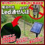 ¥¤¥Î¥·¥··âÂàÁõÃÖ LedÄ̤»¤ó¤Ü Big!¾ÈÅÙ¥»¥ó¥µ¡¼ Ìë´Ö¼«Æ°ÅÀÅô ÆüÃæ¼«Æ°¾ÃÅô ¥é¥ó¥À¥àÅÀÅô ¥½¡¼¥é¡¼È¯ÅÅ