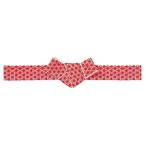 a- Tec ArTec простой тысяч плата ... ... красный танцевальный костюм отвечающий . презентация физическая подготовка праздник .. школа обучающий материал ребенок .... отвечающий .. школа сопутствующие товары резинка 