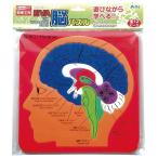 アーテック ArTec EVA脳パズル
