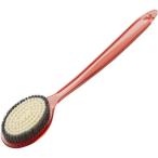 日本クリンテック Purenessボディブラ