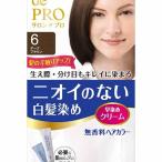 【2個セット】 サロンドプロ 無香料ヘアカラー 早染めクリーム 白髪用 6 ダークブラウン ヘアカラー・白髪用